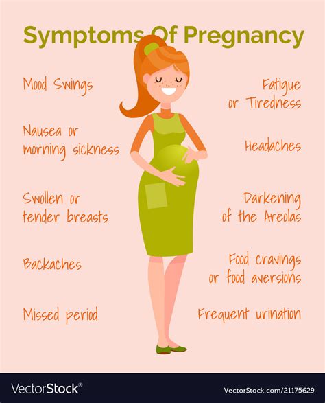 infographics symptoms  pregnancy royalty  vector image