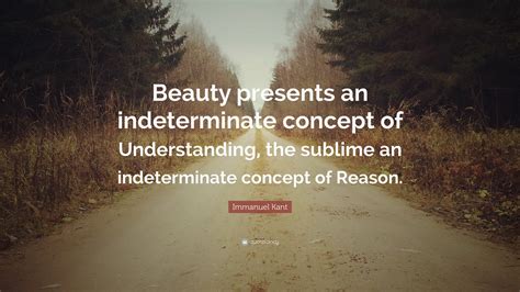 immanuel kant quote beauty presents  indeterminate concept  understanding  sublime