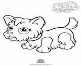 Parade Pet Coloring Pages Yorkshire Dog Cute sketch template