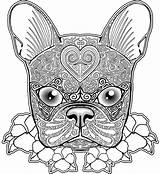 Coloring Pages Pug Boston Terrier Bulldog French Dog Printable Color Adults Adult Print Zentangle Mandala Animal Colouring Skull Getcolorings Newfoundland sketch template