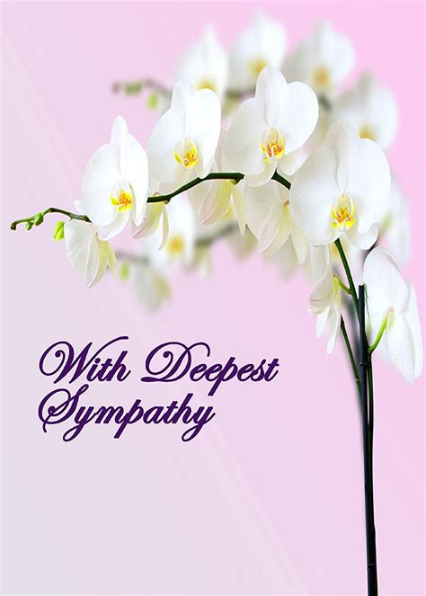 Buy Deepest Sympathy The Message Inside This Card Reads With Deepest