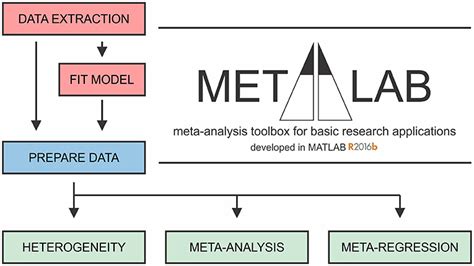 comprehensive meta analysis  adalasem