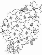 Fiori Blumen Saxifrage Coloratutto Rosa Ragazzi Fiore Mazzo Frutas Disegnidacolorareperadulti Piccoli Natura Malva Animati sketch template