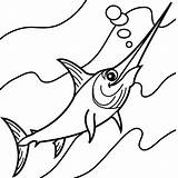 Coloring Swordfish sketch template