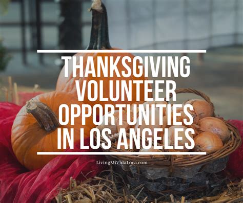 thanksgiving volunteer opportunities in los angeles