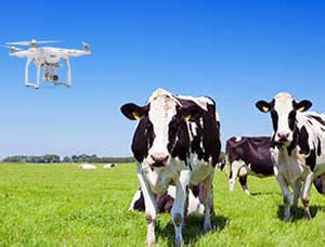 drone cameras     monitor farmland  livestock