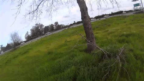 tree trimming  fpv racing drone quad youtube