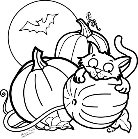 picture paints  thousand words pumpkin cat   bat  halloween