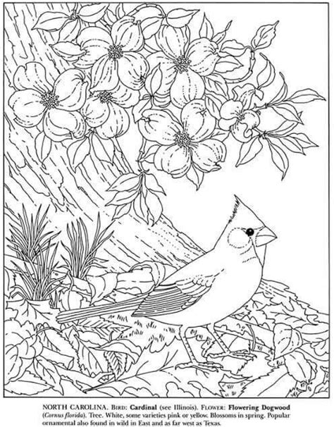 state birds flowers bird coloring pages flower coloring pages
