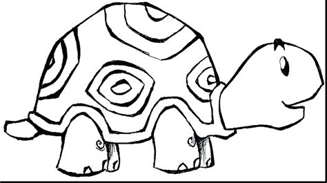 zoo coloring pages    clipartmag