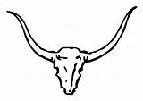 Horns Coloring Bull sketch template