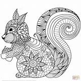 Zentangle Supercoloring Squirrel Eichhörnchen Mandala sketch template