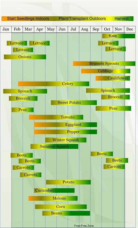 month   start planting  garden