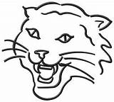 Wildcat Coloring Pages Logo Wild Cat Kentucky Colouring Clipart Wildcats Scottish Stanley Flat Clip Musical School High Drawing Step Draw sketch template