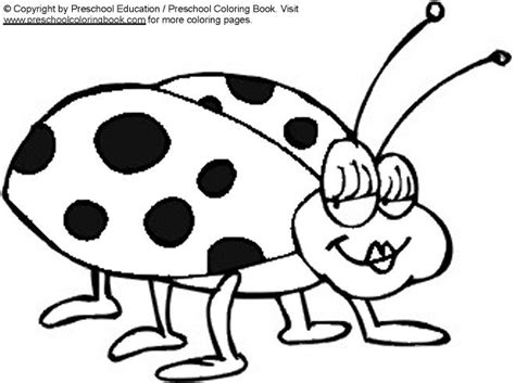 wwwpreschoolcoloringbookcom bug coloring page bug coloring pages