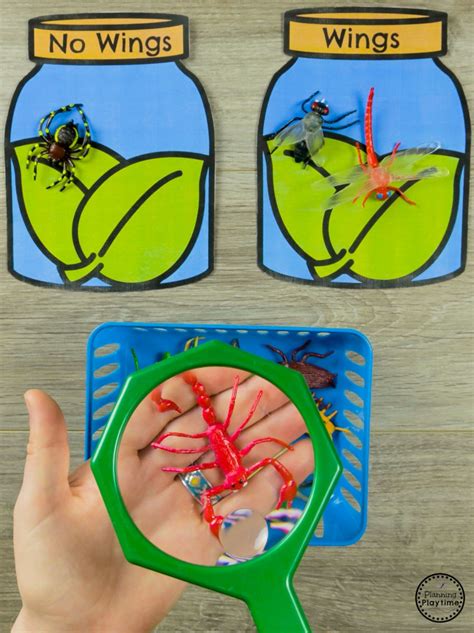 hand holding  magnifying glass   bugs   jar   wings