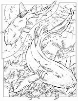 Shark Coloring Pages sketch template