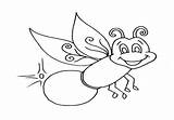 Firefly Coloring Fly Getcolorings Pages Printable Getdrawings Color sketch template