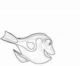 Dory Fish Coloring Pages Another sketch template