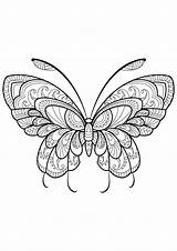 Papillon Motifs Insetti Vlinders Coloriages Moeilijk Insekten Papillons Kleurplaat Jolis Insectes Malbuch Erwachsene Adultos Insectos Adulti Schmetterlinge Schwer Farfalla Kleurplaten sketch template