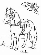Paard Kleurplaat Paarden Caballo Leukekleurplaten Horses Coloring Caballos Coloringpage Dibujosparaimprimir Leuke één sketch template