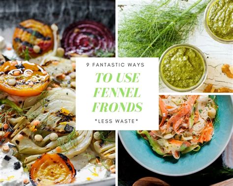 fennel fronds  great recipes  food bellies