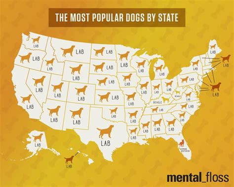 15 Shocking Maps Only Americans Will Find Funny
