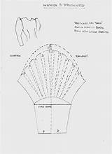 Salvato Modelli sketch template