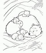 Coloring Smokey Bear Popular sketch template
