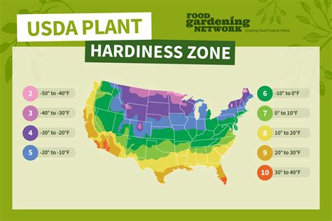 growing zones  broccoli food gardening network