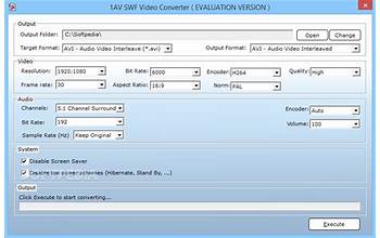 1AV SWF Video Converter screenshot #0