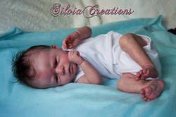 reborn images  pinterest reborn babies reborn baby dolls