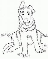 Coloring German Shepherd Puppy Popular sketch template