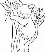 Koala Coloring Pages Cartoon Baby Simple Goomba Printable Drawing Cute Mario Moose Kids Color Animal Getdrawings Getcolorings Doodle Print Colorings sketch template