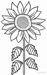 Sunflower Coloring Pages Printable Kids Flower Pattern Cool2bkids Sunflowers Drawing Stencil sketch template