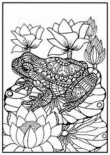 Frogs Zentangle Vuxna Målarbild Groda Cute Ausmalen Lily Frosch Outline Färglägg Erwachsene Vackra sketch template