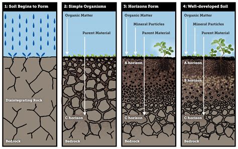 weathering  parent material climate  soil composition