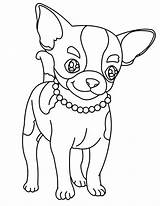 Chihuahua Coloring Pages Dog Necklace Beautiful Drawing Chiwawa Cute Color Printable Puppy Netart Print Kids Colouring Sheets Beverly Hills Adult sketch template