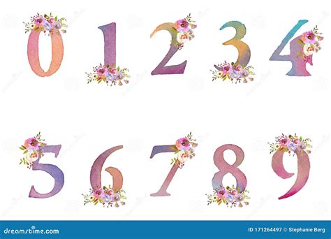 pretty soft watercolor painted floral numbers stock image image  design font