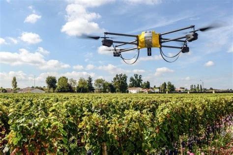 california vineyard   drones    wine drones concept drone technology