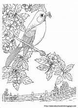 Coloring Nature Pages Kids Printable Print Scenes Worksheets Drawing Realistic Birds Book Colouring Adult Adults Scavenger Hunt Books Color Sheets sketch template