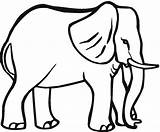 Elephant Coloring Pages Animals Tusks sketch template