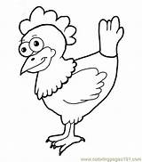Chicken Coloring Pages Results Chicks Hens sketch template