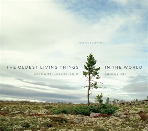 gallery oldest living things in the world