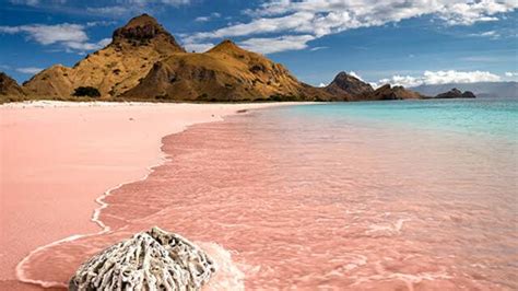 keindahan pantai pink labuan bajo  suprabaluxurycom