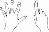 Counting Clipart Hands States United Style Etc Tiff Usf Edu Small Medium sketch template