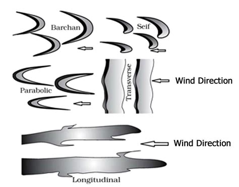 features  form  wind deposition