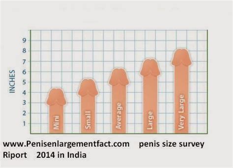 an average size penis porn website name
