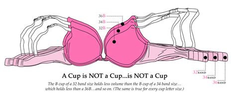 measure bra size  home victoria secret