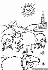 Coloring Pages Book Lamb Sheep Farm Animal Printable Animals Print Cute sketch template